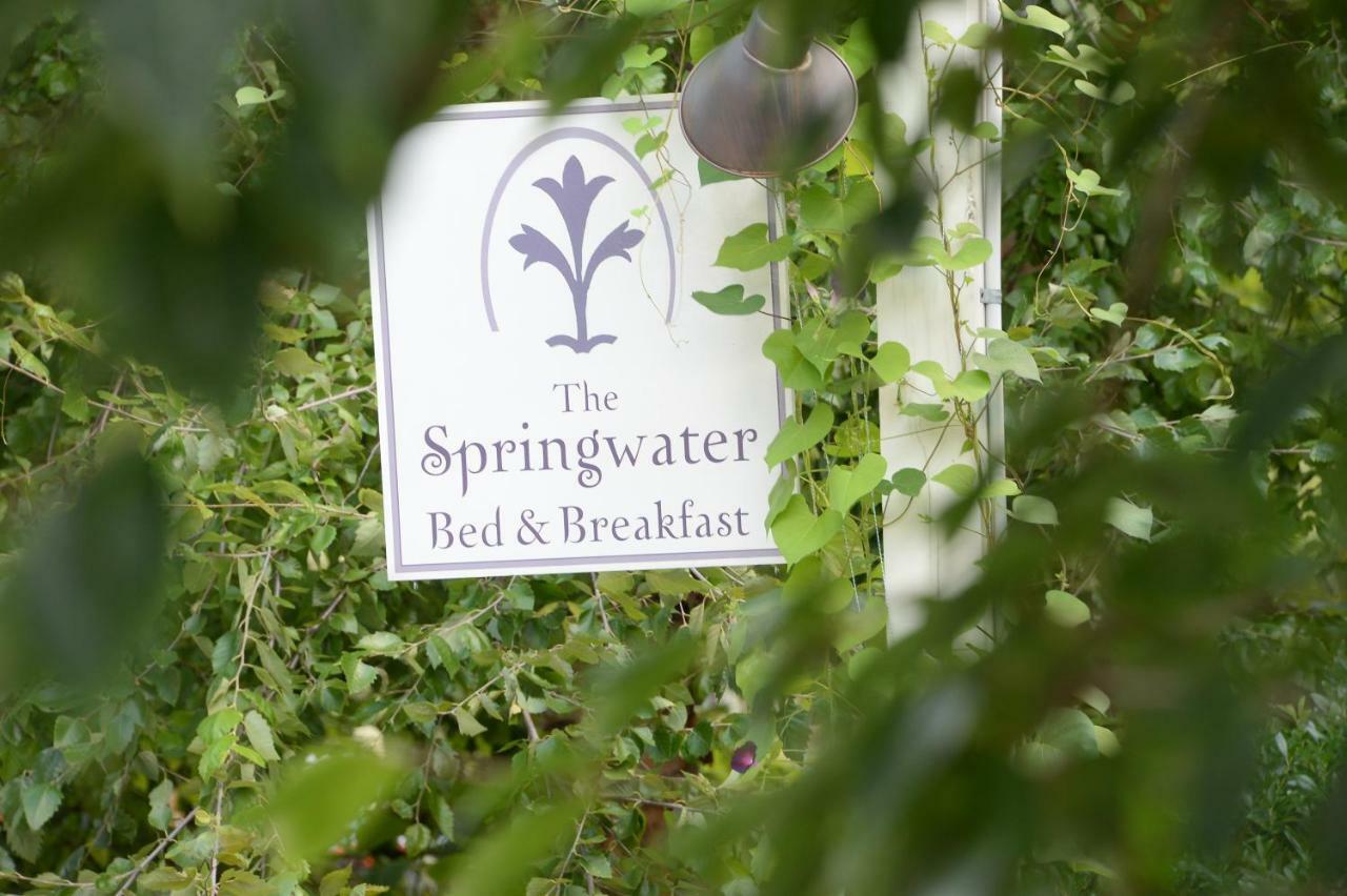 The Springwater Bed And Breakfast Saratoga Springs Eksteriør billede