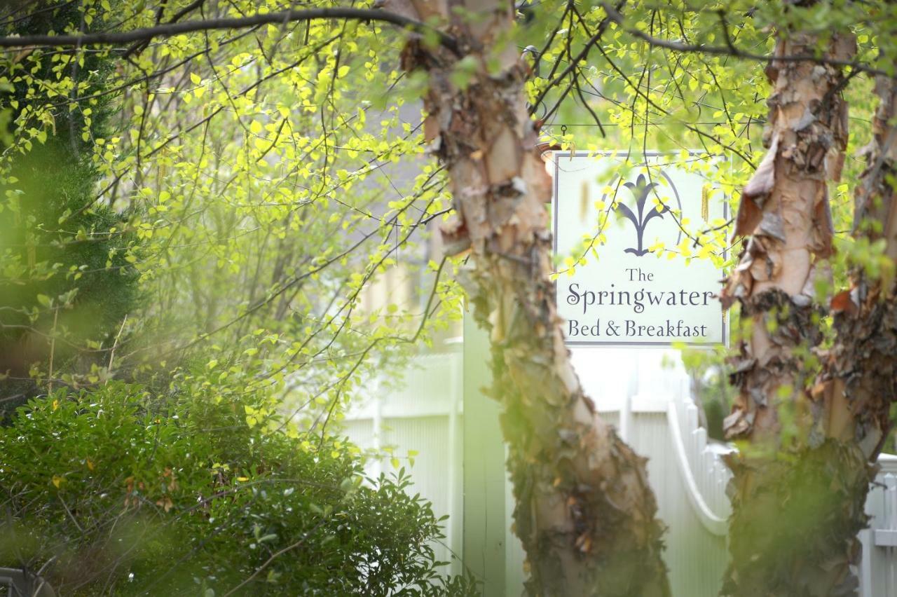 The Springwater Bed And Breakfast Saratoga Springs Eksteriør billede